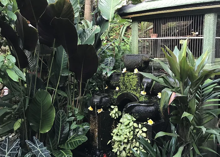 Kacu Affittacamere Ubud